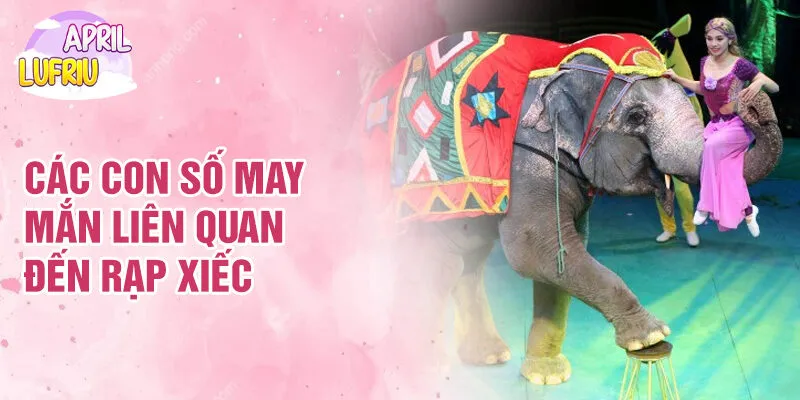 Giấc Mơ Thấy Rạp Xiếc: Giải Mã Ý Nghĩa Và Cảm Xúc 4 Các con số may mắn liên quan đến rạp xiếc