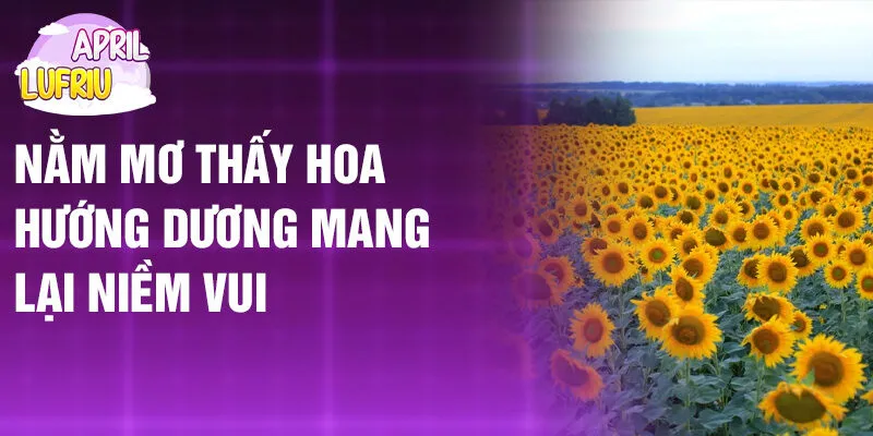 Nằm Mơ Thấy Hoa Hướng Dương: Điềm Báo Và Số May Mắn 2 Nằm mơ thấy hoa hướng dương mang lại niềm vui