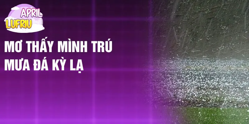 Nằm Mơ Thấy Mưa Đá: Bí Ẩn Những Viên Băng Giá 3 Mơ thấy mình trú mưa đá kỳ lạ