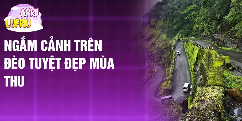 Nằm Mơ Thấy Đi Đèo: Hành Trình Định Mệnh Mới? 3 Ngắm cảnh trên đèo tuyệt đẹp mùa thu