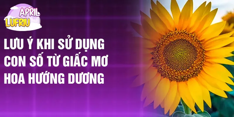 Nằm Mơ Thấy Hoa Hướng Dương: Điềm Báo Và Số May Mắn 4 Lưu ý khi sử dụng con số từ giấc mơ hoa hướng dương