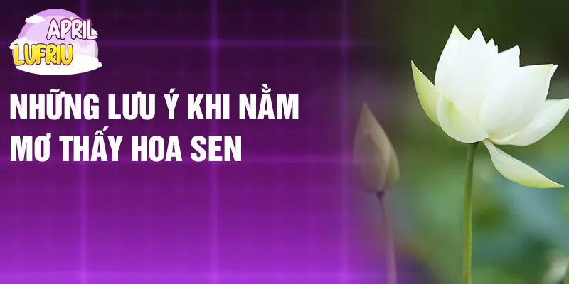 Nằm Mơ Thấy Hoa Sen: Bí Ẩn Giấc Mộng Thanh Khiết 4 Những lưu ý khi nằm mơ thấy hoa sen