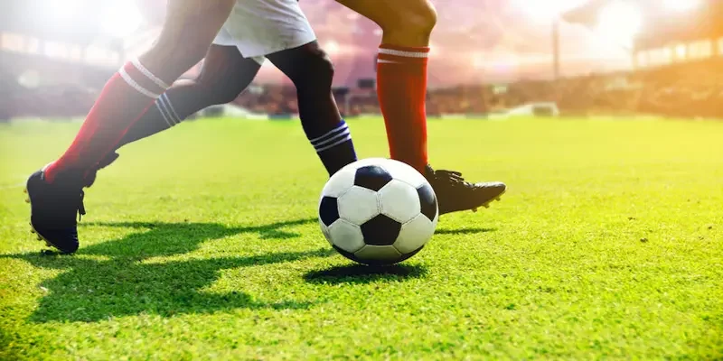 Tỷ lệ cá cược và xác suất có mối quan hệ như thế nào?