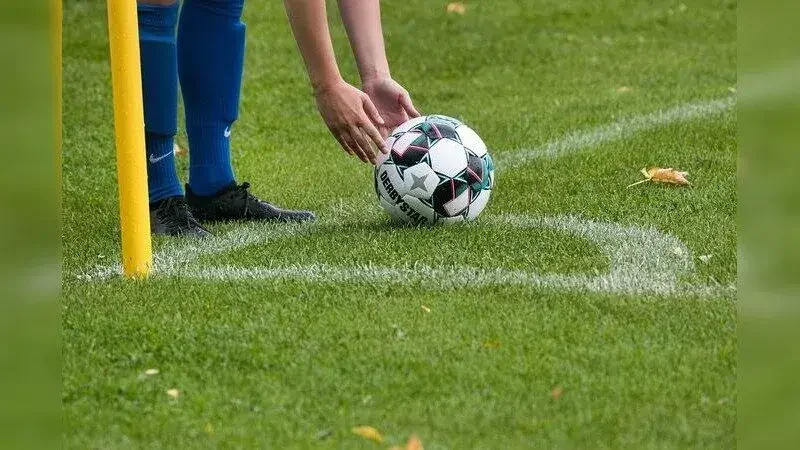 Cách chuyển đổi giữa các tỷ lệ cá cược và xác suất