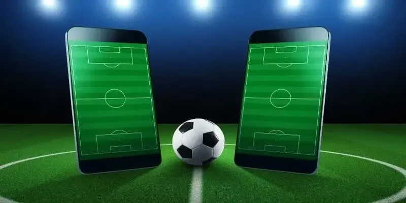 Tỷ lệ cá cược dòng tiền dành cho các cao thủ