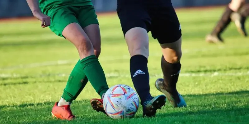 Các loại tỷ lệ cá cược phổ biến tại các nhà cái