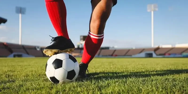 Phiên dịch ngôn ngữ của những con số